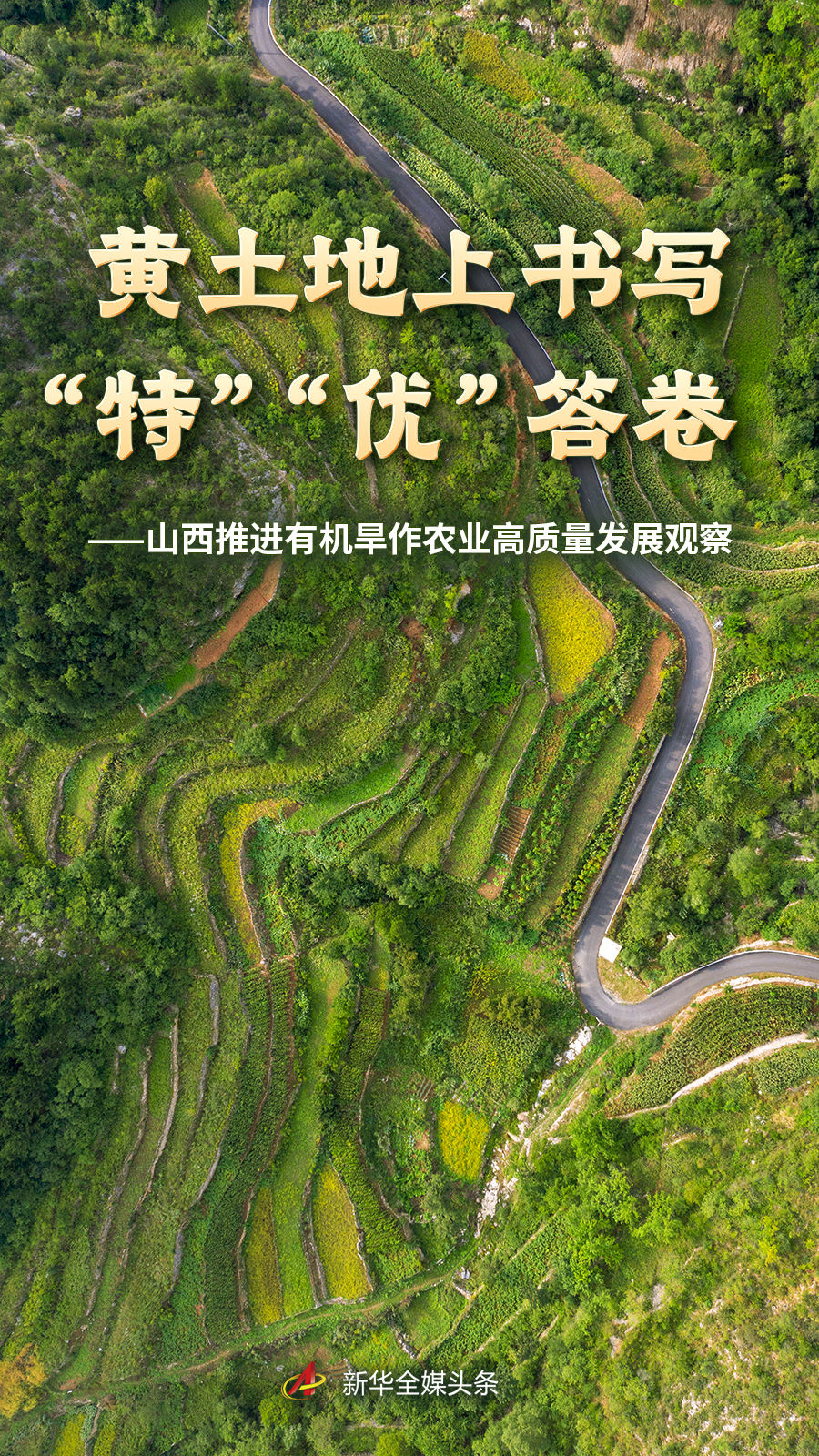金年会